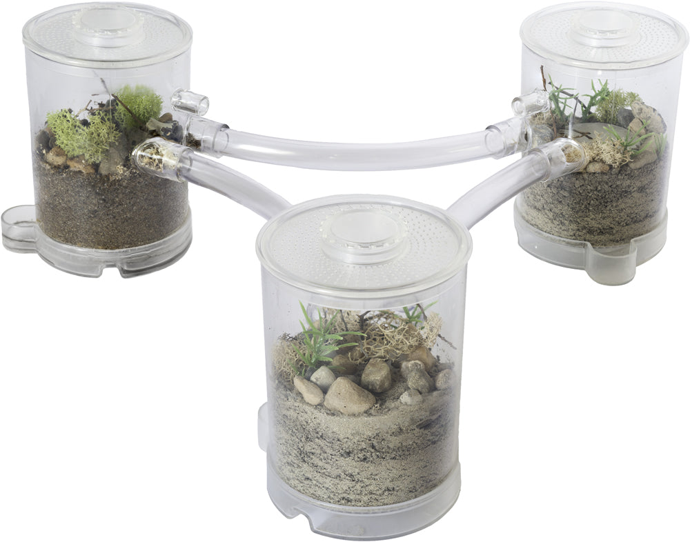 Ant Tower Small™ Deluxe