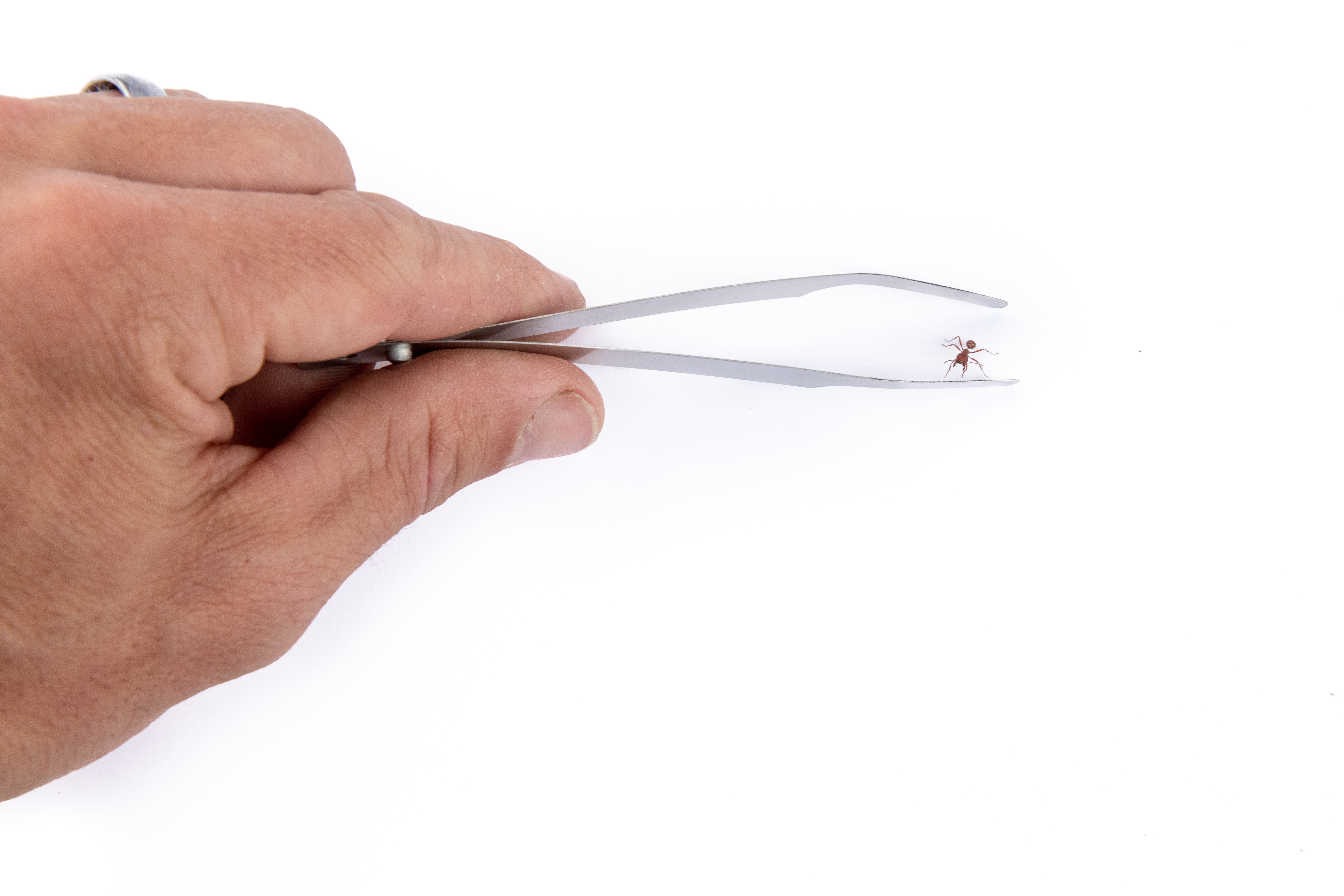 Featherweight Tweezers - Long Tip