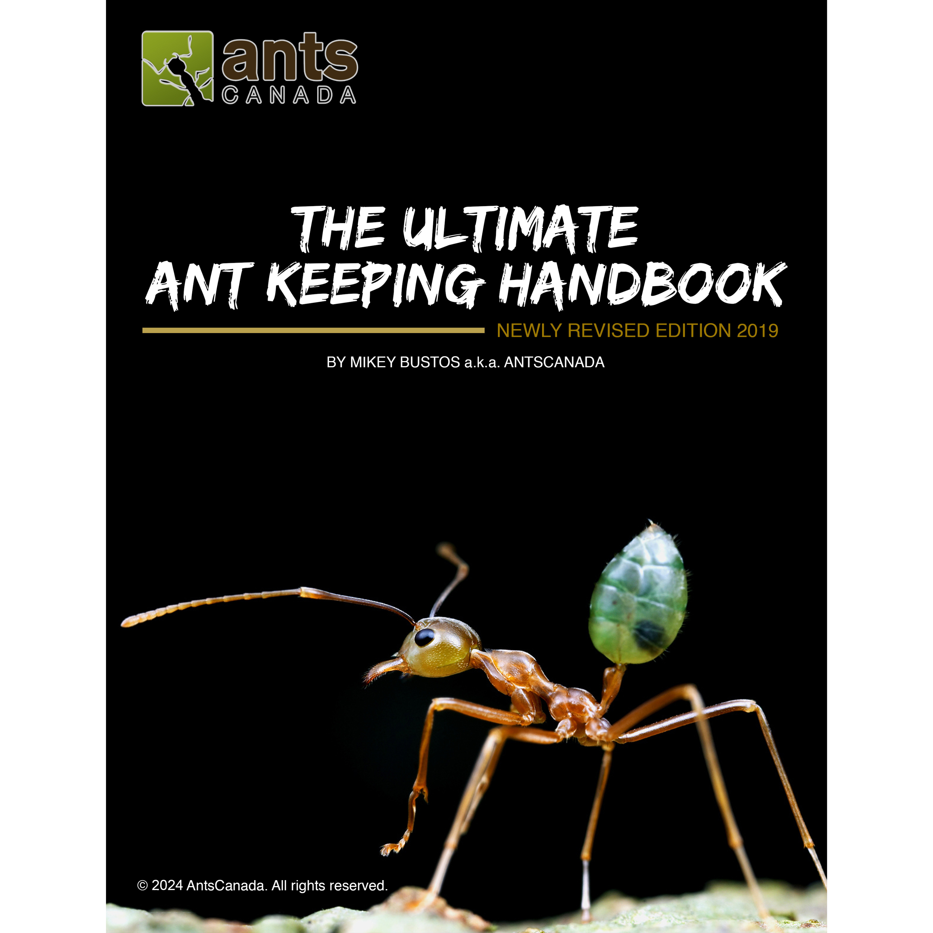 The Ultimate Ant Keeping Handbook™ E-Book