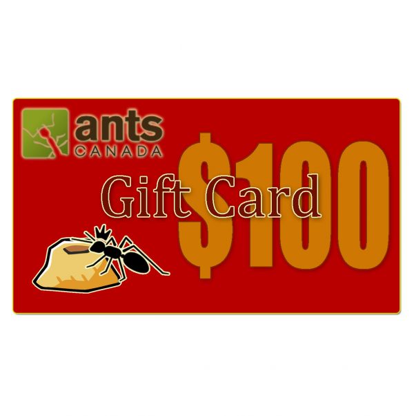 E-Gift Card ($100.00)