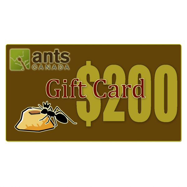 E-Gift Card ($200.00)