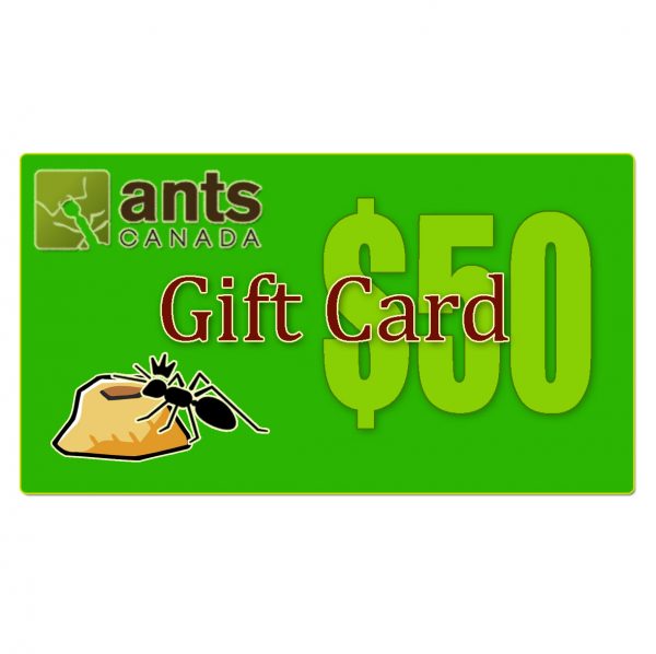 E-Gift Card ($50.00)