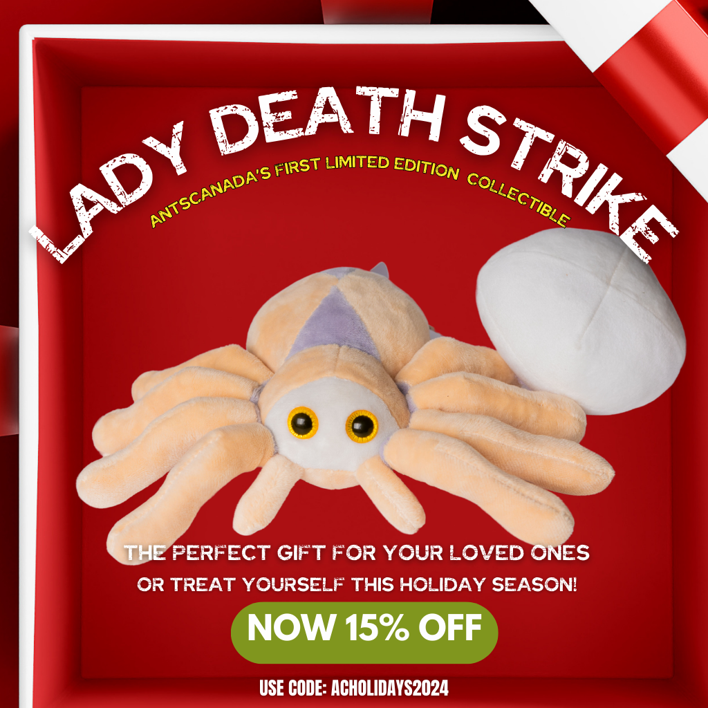 Lady Death Strike - Limited Edition